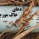 دعای اصلی خاک مورچه برای جذب مشتری، خواستگار و فروش خانه