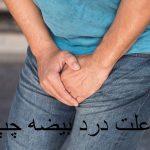 علت درد بیضه چپ و کشاله ران و زیر شکم چیست؟ + درمان خانگی