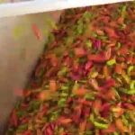 (ویدئو) از برداشت تا فرآوری؛ فرآیند درست کردن سس فلفل قرمز در آمریکا