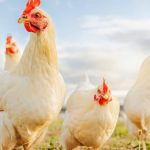آمادگی برای فردا باوجود ریسک کم امروز