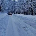 (ویدئو) تصاویر ارتفاع برف جاده اسالم به خلخال