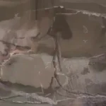 (ویدئو) ببینید چگونه شکلات های مشهور نوتلا در کارخانه تولید می شود!