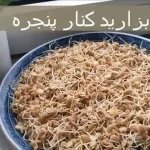 (ویدئو) بهترین روش تهیه سبزه عید با عدس و فوت و فن های آن