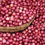 زمان خرید تضمینی پیاز تا ۵ خرداد تمدید شد – تجارت نیوز