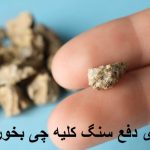 برای دفع سنگ کلیه چی بخوریم؟ میوه های مفید و بهترین دمنوش برای دفع سنگ کلیه