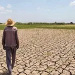 کاهش ۶۵ درصدی بارندگی و افت شدید منابع آبی – تجارت نیوز