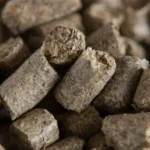 صادرات تفاله چغندر و نیشکر آزاد شد – تجارت نیوز