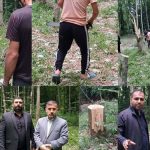قطع ۶۴ درخت در ساری به دلیل انتقام جویی شخصی