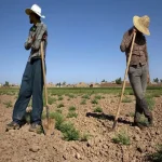 خروج جمعیت فعال اقتصادی از بازار کار مناطق روستایی/ 15.3 درصد از روستاییان تحصیل کرده بیکارند