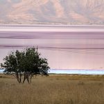 تصاویری منحصربفرد از دریاچه صورتی ایران