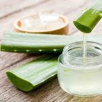 چطور آلوئه‌ورا را در یخچال مثل روز اول تازه نگه داریم؟