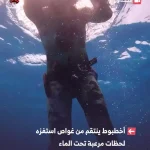 ببینید؛ کارمای آبی؛ هشت‌پا یک غواص را خفه کرد