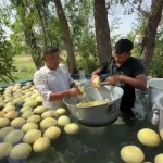 ببینید؛ غذای روستایی در پاکستان؛ مراحل دیدنی تهیه 200 لیتر آب طالبی