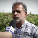 ببینید؛ کاشان؛ غرق در عطر گل و گلاب