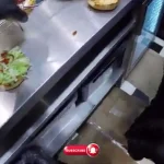 ببینید؛ غذای خیابانی در دانمارک؛ پخت و سرو محبوب ترین برگرها در کپنهاگ