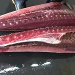 ببینید؛ نگاهی نزدیک به برش زدن ماهرانه ماهی تن بلوفین 400 کیلوگرمی در شرق آسیا