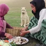 ببینید؛ غذای روستایی در افغانستان؛ برداشت قارچ وحشی و پخت خوراک مرغ و قارچ