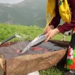 ببینید؛ غذای روستایی در گیلان؛ پخت چلو مرغ محلی روی هیزم