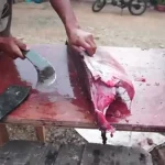 ببینید؛ مهارت نوجوان 16 ساله برزیلی در برش زدن و فیله کردن ماهی تن غول پیکر