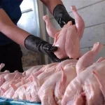 قیمت مرغ امروز ۹ خرداد ۱۴۰۴ – تجارت نیوز