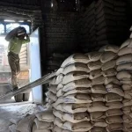 قیمت سیمان امروز 20 اردیبهشت ۱۴۰۴ + جدول – تجارت نیوز
