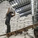 ثبت سفارش واردات برنج از ۱۰ خرداد آغاز می‌شود – تجارت نیوز