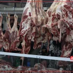 قیمت گوشت قرمز امروز ۷ خرداد ۱۴۰۴ + جدول – تجارت نیوز