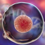 آیا میکروپلاستیک‌ها باعث پیری زودرس می‌شوند؟