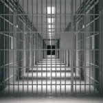 ۸۸ ایرانی محبوس در مالزی به کشور منتقل شدند – تجارت نیوز