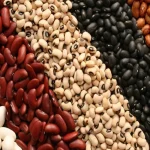 قیمت لوبیا کاهش می‌یابد؟ – تجارت نیوز