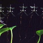 RoboBee؛ ربات پرنده‌ای با الهام از حشرات که فرود ایمن را آموخت