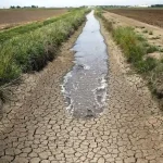 قزوین در آستانه بحران خشکیدگی است – تجارت نیوز