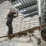 واردات برنج منجر به کاهش قیمت برنج می‌شود – تجارت نیوز