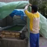 قطعی برق 5 ساعته آسیب جدی به تولید مزارع ماهی وارد کرد – تجارت نیوز