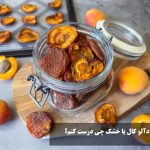 با زردآلو کال یا خشک چی درست کنم؟ با زردآلو له شده چی میشه درست کنم؟