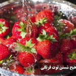 طریقه صحیح شستن توت فرنگی برای از بین کرم آن با سرکه، نمک و جوش شیرین
