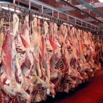 افزایش ۱۸ درصدی عرضه گوشت قرمز – تجارت نیوز