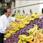 تشریح دلیل افزایش بی‌رویه قیمت موز/ هندوانه‌های ایرانی سالم است – تجارت نیوز