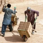 سهم اتباع در بازار کار ایران بیش از ۱۰ درصد است – تجارت نیوز