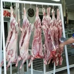 گوشت ارزان را فراموش کنید/ واردات گوشت باید بیشتر شود – تجارت نیوز