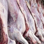 حذف ارز ترجیحی واردات گوشت چه تاثیری بر قیمت گوشت دارد؟ – تجارت نیوز
