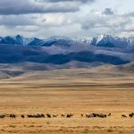 عکس؛ دیگر دیوار بزرگ آسیا؛ کشف بقایای سازه‌ای قرون وسطایی در قلب مغولستان
