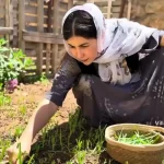 ببینید؛ غذای روستایی در کردستان؛ پخت یک چلو مرغ متفاوت و خلاقانه