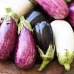 تعبیر خواب بادمجان خام برای زن متاهل و باردار و دختر مجرد از روانشناسی