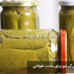 طرز نگهداری برگ مو برای مدت طولانی در فریزر + مدت زمان نگهداری برگ مو در یخچال